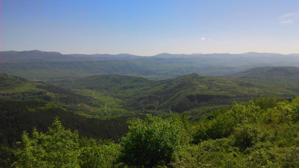 Agroturizam Nezic Villa Oprtalj Buitenkant foto